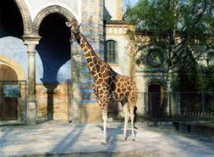 The National Zoo of Rabat in Morocco