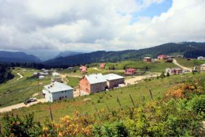 Paşa Konağı Yaylası