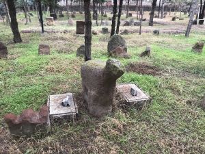 Karakoyunlu Koçbaşlı Açık Hava Müzesi