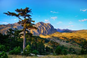The Fertile Mountain