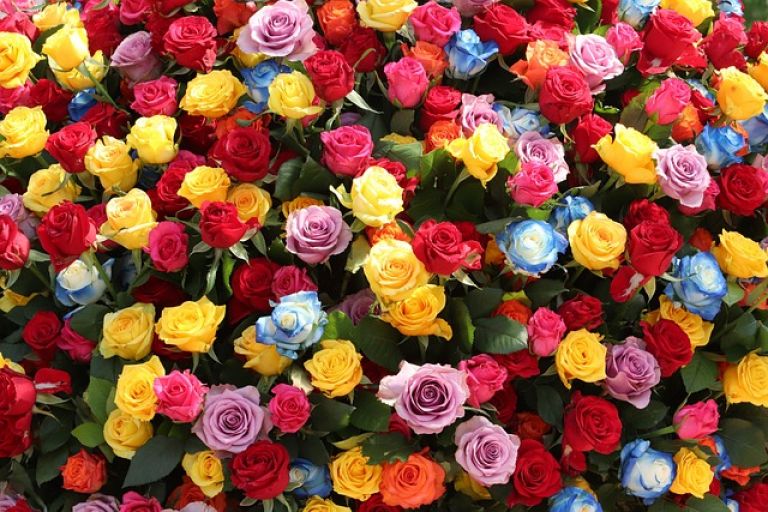 The Festival of Roses in Isparta 5. Fotoğraf