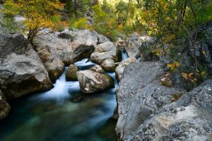 Written by Canyon Isparta