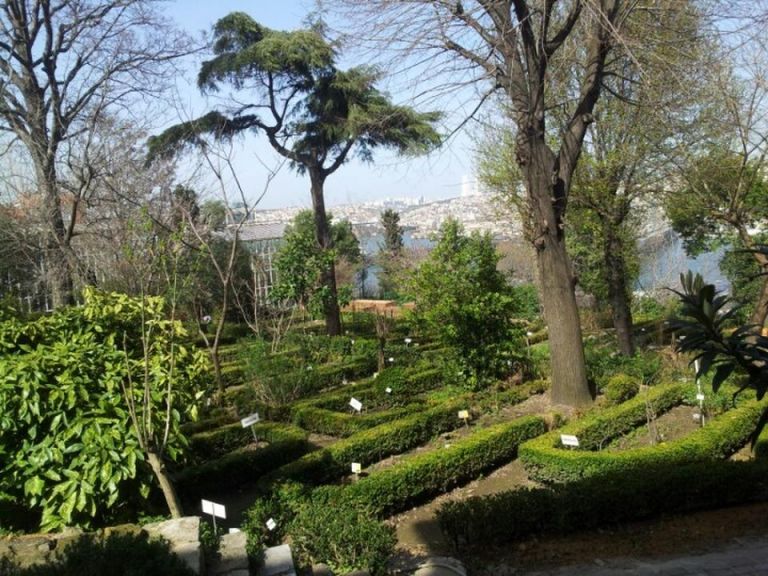 İstanbul Üniversitesi Alfred Heilbronn Botanik Bahçesi 3. Fotoğraf