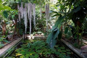 Istanbul University Alfred Heilbronn Botanical Garden