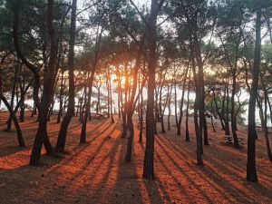 Değirmenburnu Piknik Alanı