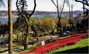 This is Emirgan Korusu