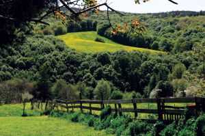 The natural park of Polonezköy