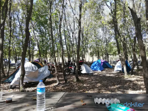 This is Danamandarra Nature Park