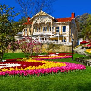 Emirgan Tarihi Sarı Köşk