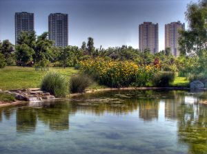 The botanical garden of Nezahat Gakigit