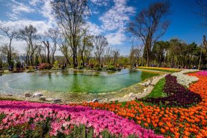 This is Emirgan Korusu