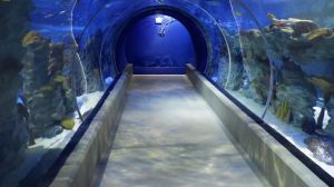 This is Emaar Aquarium