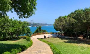 The Guard of Fethi Pasha