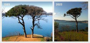 The peak of the Cape of Good Hope