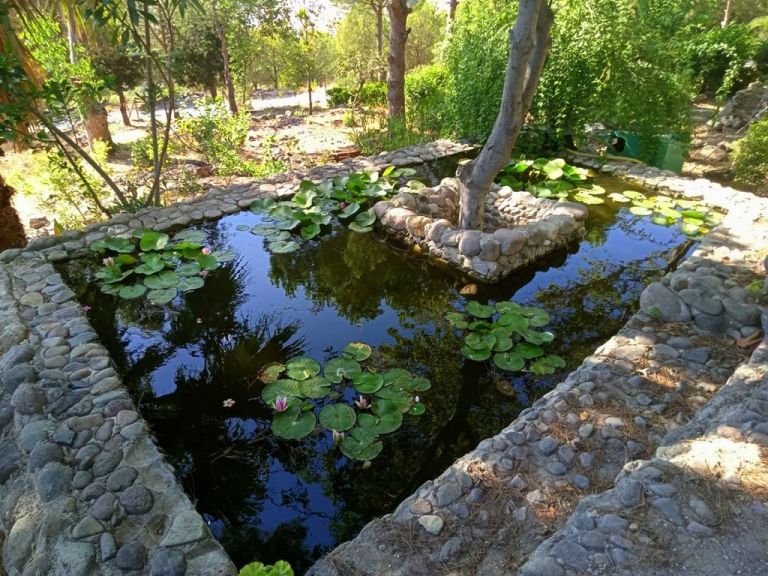 The Atatürk Botanical Garden 5. Fotoğraf
