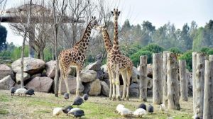 Izmir Wildlife Park
