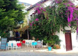 The Leon Cafe