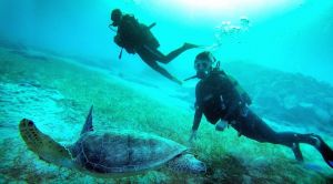 Shielded tube diving