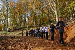 Trekking the forests of Longoz on a needle