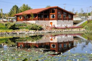 Hilla Lake Nilüfer Park