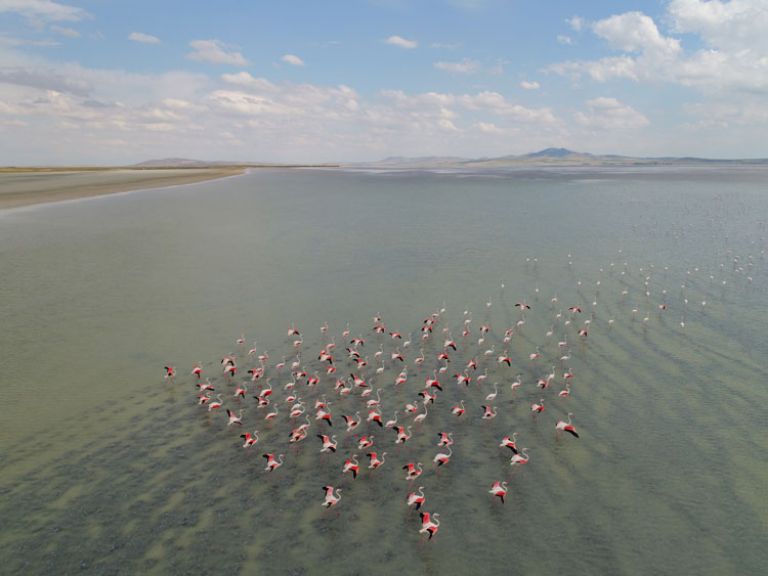 Seyfe Gölü Kuş Gözlemciliği 5. Fotoğraf