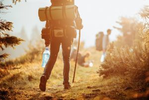 Trekking in the suburbs