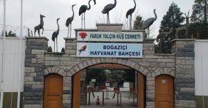 Boğaziçi Hayvanat Bahçesi