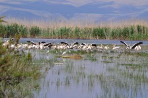 The lake of Aksher