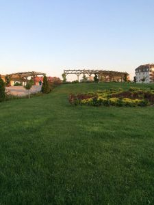 The Mount of Olives