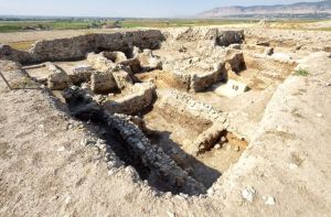 Boncuklu Höyük