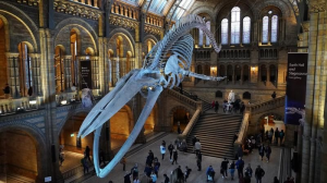 The natural history museum in London.