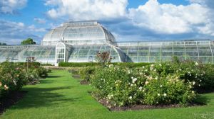 Royal Botanical Garden Kew