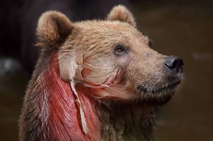 Sıradışı Bir Deneyim!