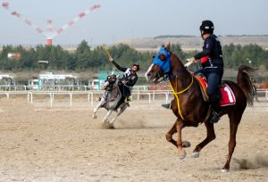 Cirit on the Malatya Horse
