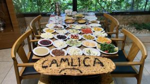 Çamlıca Restaurant - Malatya Mutfağı