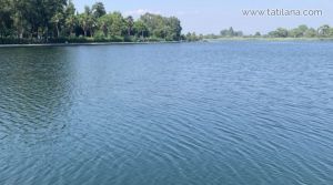 The Trembling Lake