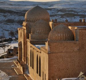 The Madrasah of November