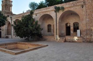 The Martyrdom Madrasah