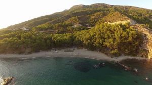 The beach of the Pullu Forest