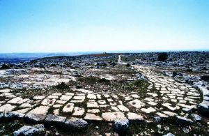 The Road to Rome