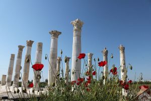 Soli is the ancient city of Pompeii