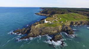 The lamp of the fig tree