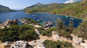 Gemile Koyu ve Adası