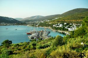 Torba Bay