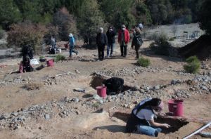 Muğla Özlüce Fosil Yatağı