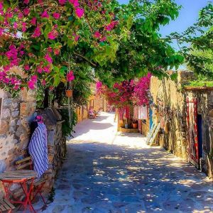 Muğla Sokakları