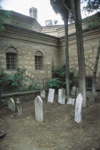 The House of Arts