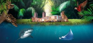 This is Nata Vega Aquarium