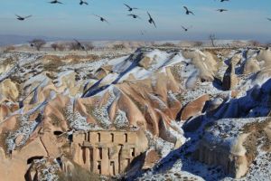 The Valley of the Pigeons