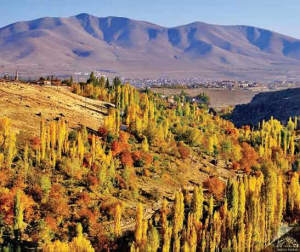 Niğde